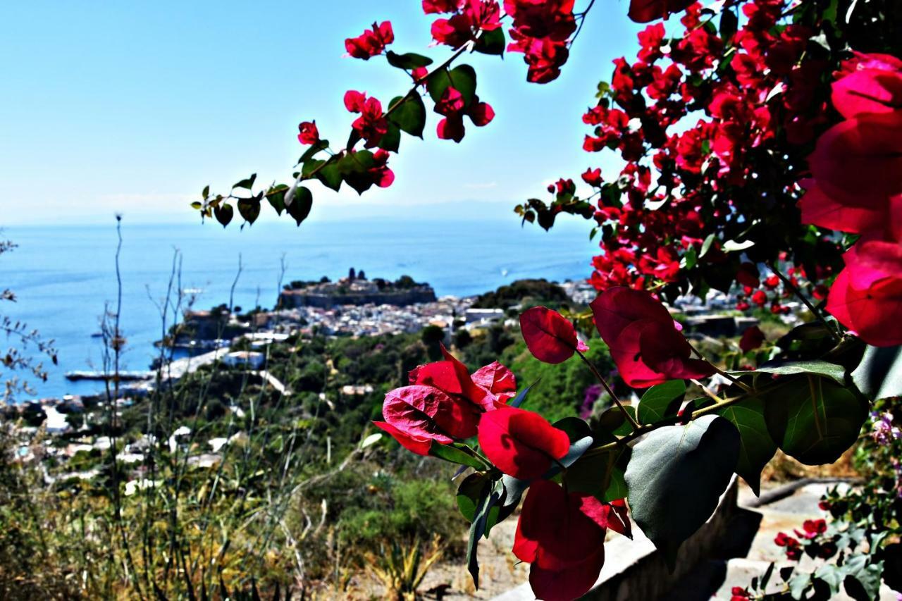 Casa Masaria Daire Lipari  Dış mekan fotoğraf